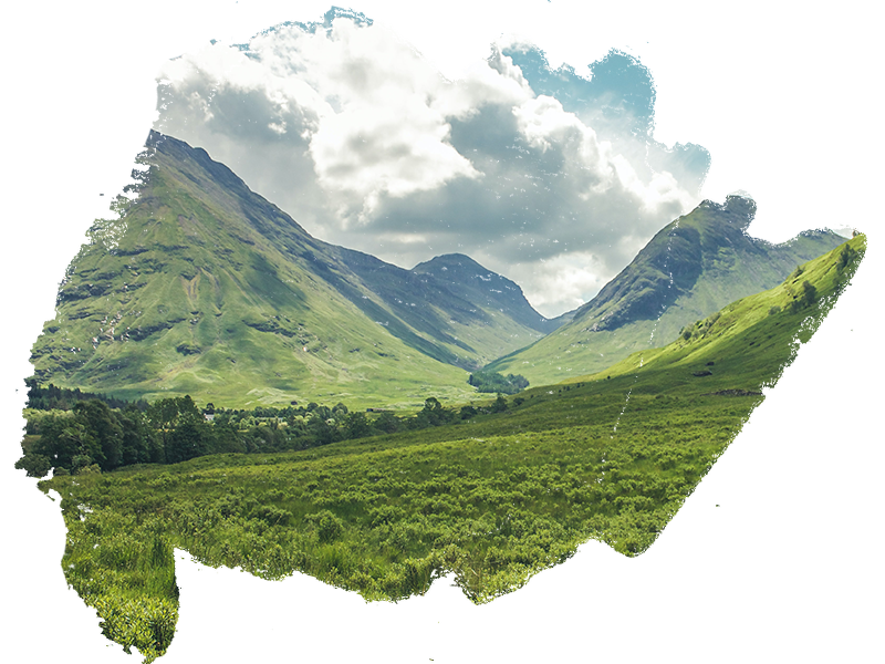 Our Story from New Zealand